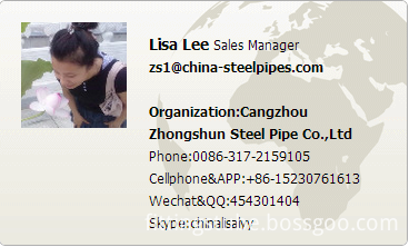 Name Card LISA LEE (1)