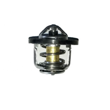 CHERY QQ Car Engine Cooling System and Thermostat