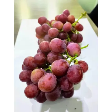 Masarap na Sariwang Pulang Ubas sa Perpektong Kondisyon
