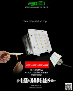 LED MODULE 60W GD20102005
