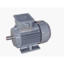 Y2 series three phase induction motors