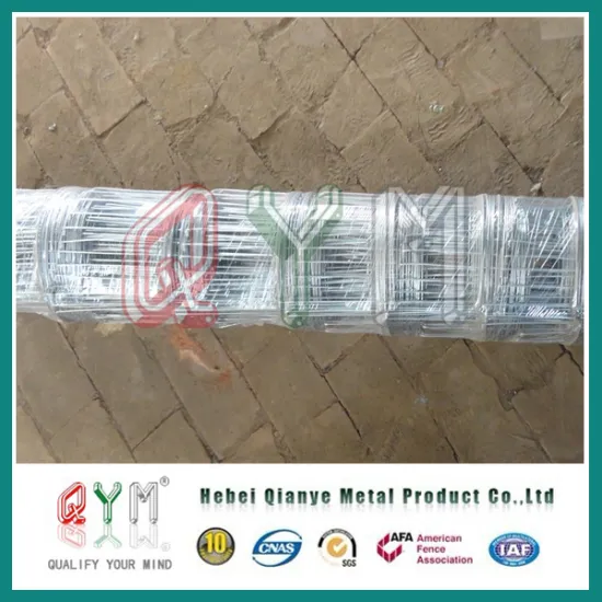 Hot Dipped Galvanized Corral Fence/ Farm Fence/Grassland Fence