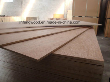 5mm Bintangor Plywood