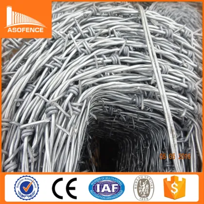 double main wire twist stainless steel razor barbed wire