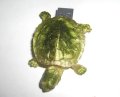 Anpassade billigt Emulational sköldpadda karikatyr Usb driva djur USB 2.0 Flash Drive för 2gb, 4gb