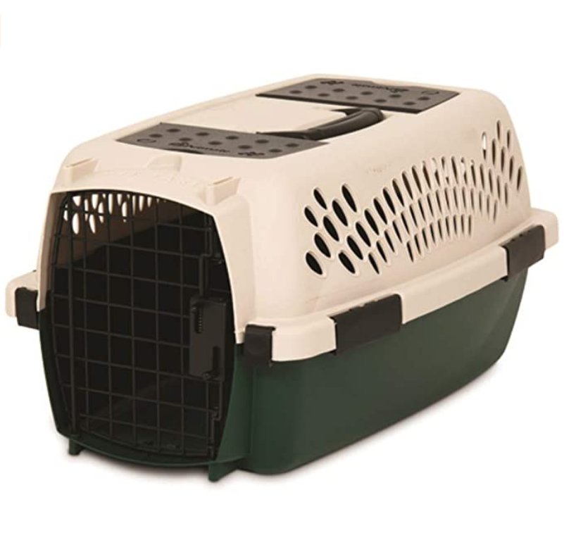 Outdoor Pet Kennel