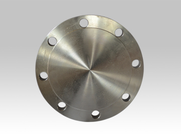 EN1092-1 TYPE05 PN25 BLIND FLANGE