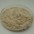 Fraxetin Powder Fraxinus chinensis Extract