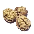 Nozes brancas premium com casca sabor natural