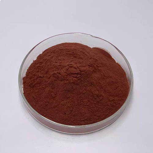 China Antioxidant 95%Procyanidins Grape Seed Extract Manufactory