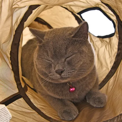 S Funny Pet Tunnel Cat Play Tunnel