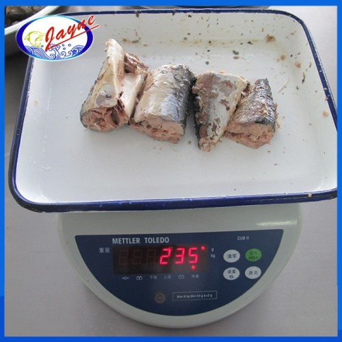 high quality new arrival new crop canned mackerel in brine for sale