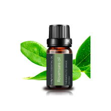 Ravintsara Essential Oil 100% Therapeutic murni murni