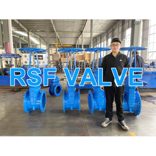 OS&Y rising stem resilient seat gate valve
