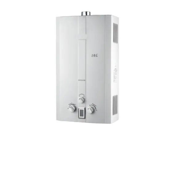 10L LPG Force Exhaust Type Gas Water Heater for Home Appliances
