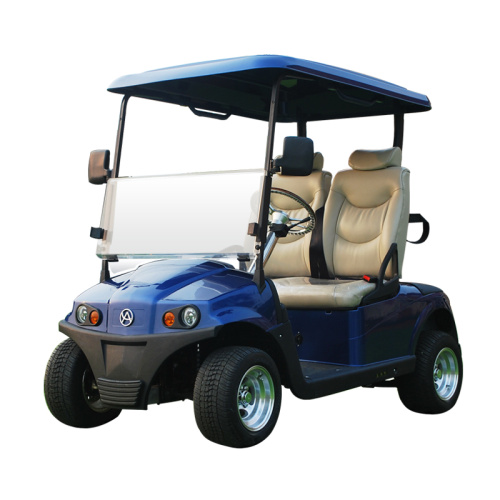 2 Sitzer elektrischer Golfbuggy