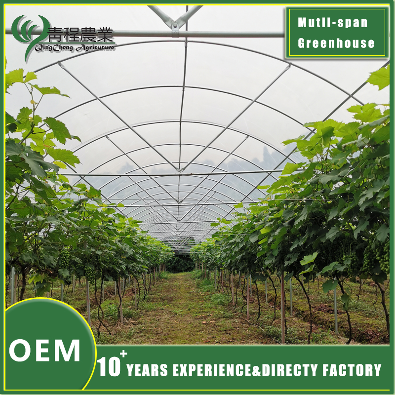 Multi Span Greenhouse Cover