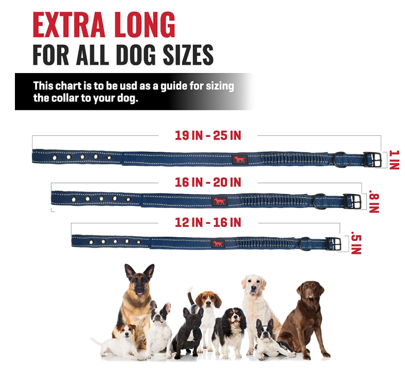 Thick Dog Collars