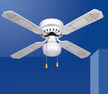 Ceiling Fan