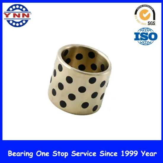Good Performance and Bush Brass Oilless Bearing (PAP 1010 P10)