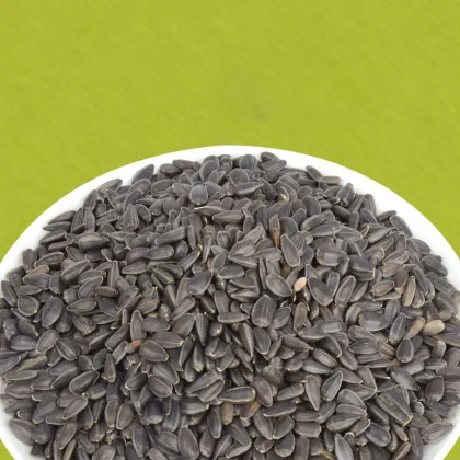Little Pet Teething Snacks - Raw Melon Seeds, 200g