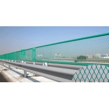 Expressway fence