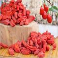 Thực phẩm khô Goji Berry trái cây trái cây Goji trái cây