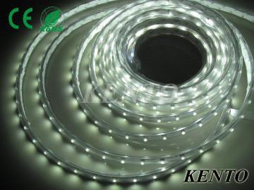 3528 SMD 30Leds 12V 8MM Cool White(Non)Waterproof Flexible Strip Light