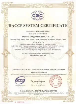 green tea recipe diet tea green tea for weight loss