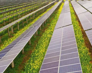 Customized solar support structure for farm