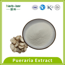 High content 98% puerarin in pueraria powder