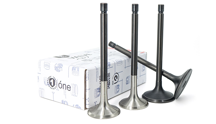 OEM Engine Intake Exhaust Valve for Isuzu 4BC2