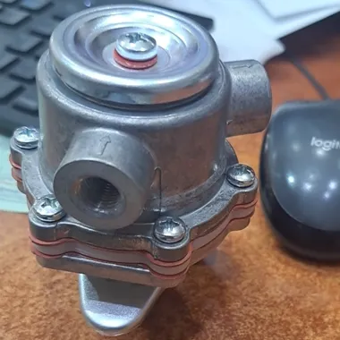 Fits Lombardini Engine Hilux BCD2739 FDR9177 AR062-10JL Fuel Pump