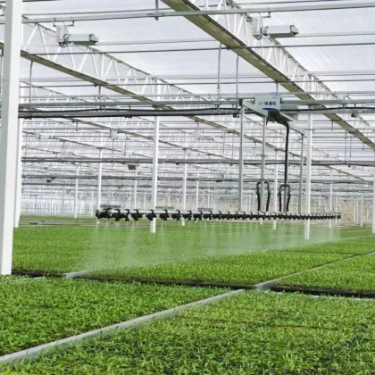 Agriculture Arched PC Board Commercial Greenhouse