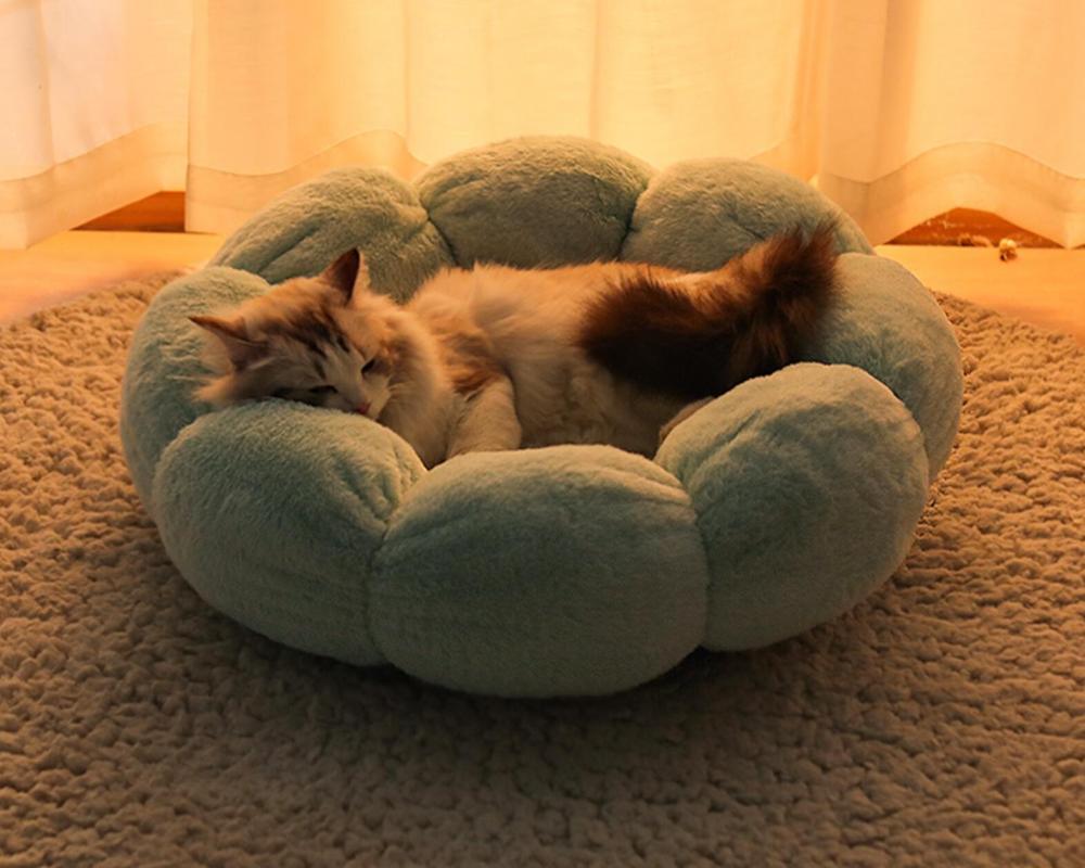 Customize Cat Bed,Direct Factory Sale Dog Bed,Pet Bed with Cheap Price