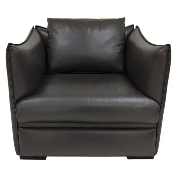 Single sofa modern style