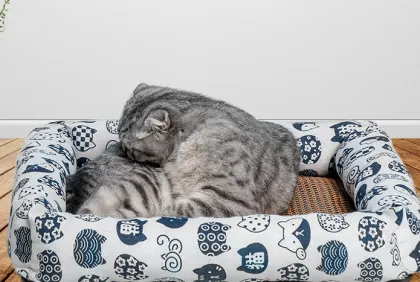 cool for summer pet mat nest