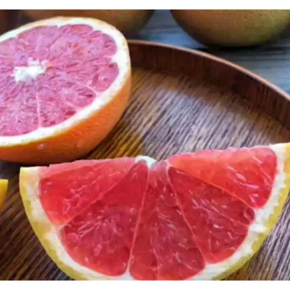 Citrus paradisi Macf Extract
