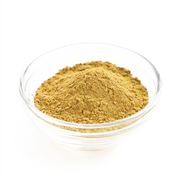 Hericium Erinaceus Extract Powder