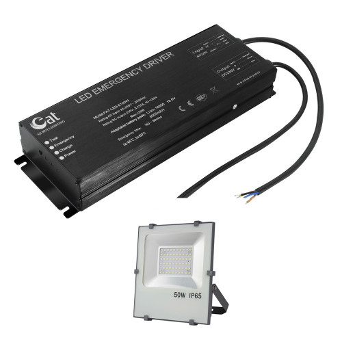 DC230V-Ausgang High Power 100W LED-Notfahrer