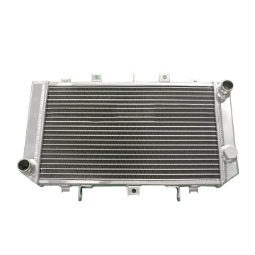 Aluminum ATV Motorcycle Racing Radiator for Beach Cars