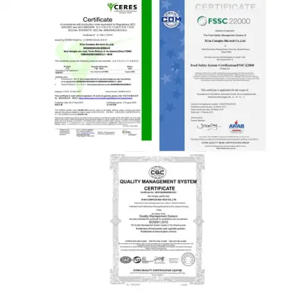Organic Green Tea Powder For Tea Bulk