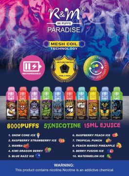 Wholesale Hot Selling R&M Paradise 8000puffs Pod Device