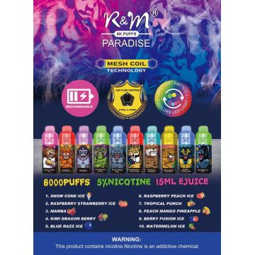 Оптовая горячая продажа R &amp; M Paradise 8000Puffs Pod устройство