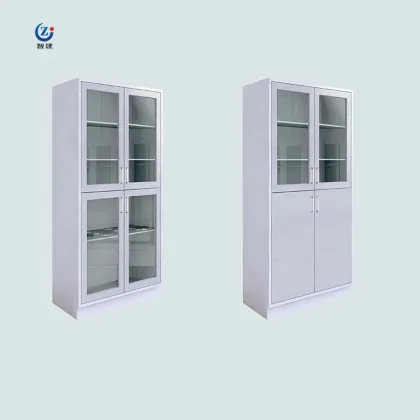 Factory Outlet Medical Storage Cabinets for Chemical Reagents and Lab Safety