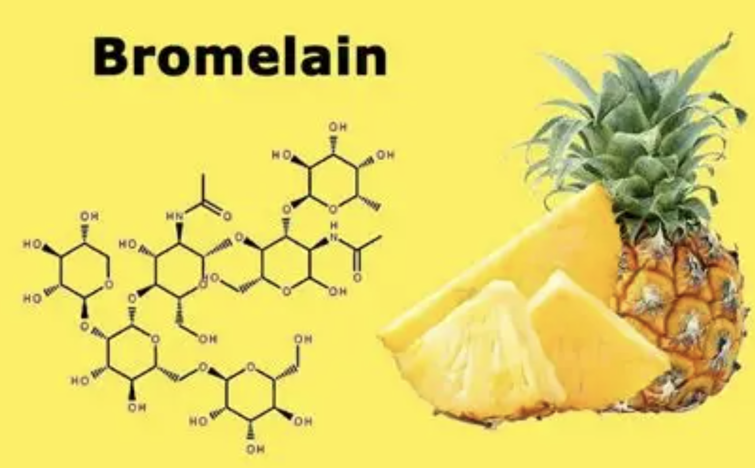 Bromelain Enzyme Powder Bulk