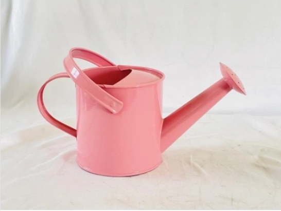 Cute Mini Watering Can