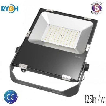 China Driverless Led Flood Light Led Flood Light Driverless Module Led Flood Light Manufacturer