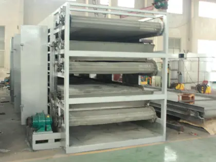 green plum dehydration drier