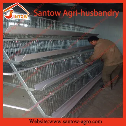 Hot sale poultry farms used chicken layer cages